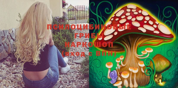 кокс Корсаков