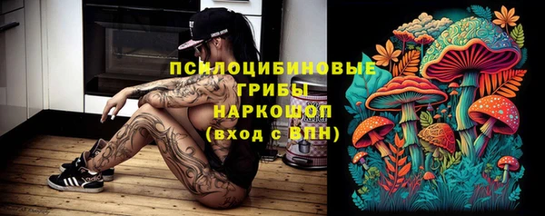 дмт Яровое