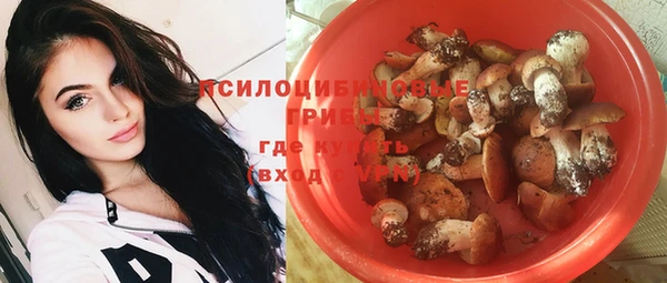 дурь Костерёво