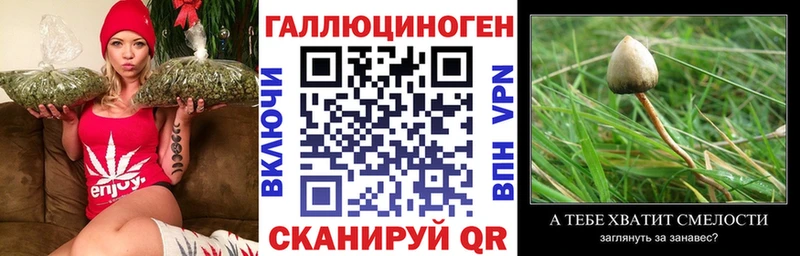 Галлюциногенные грибы прущие грибы  kraken рабочий сайт  Ростов-на-Дону 